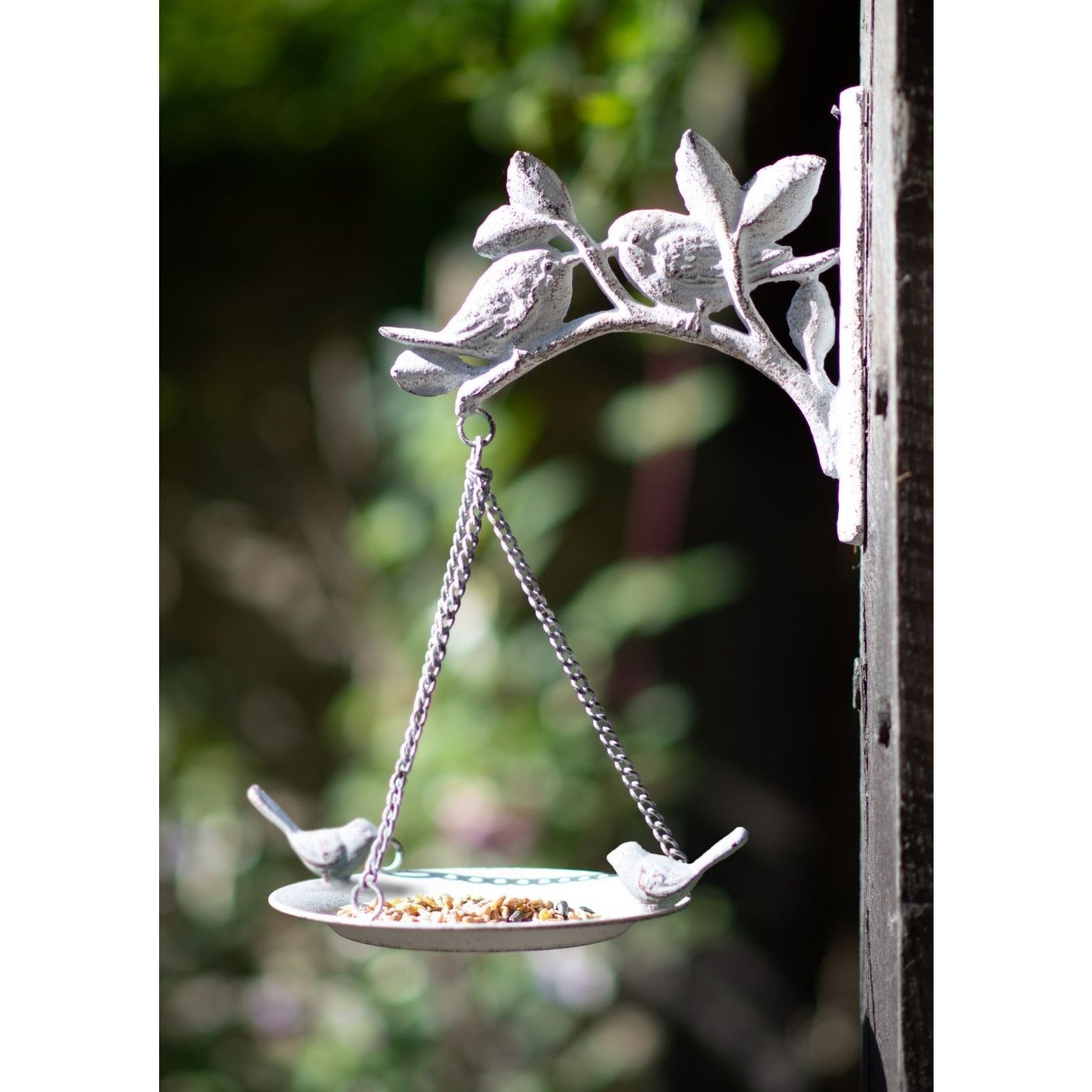 Wall Mounted Bird Bath and Feeder Sproutl