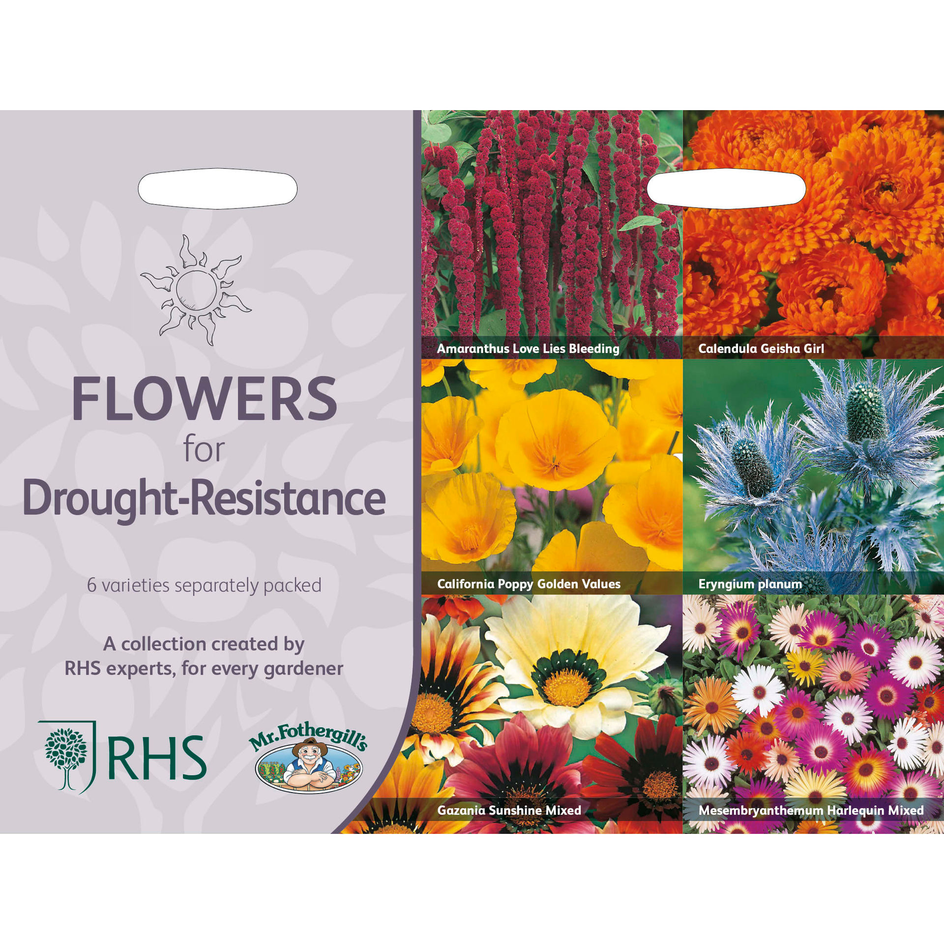 Johnsons Seeds Flowers For Drought-Resistance Collection