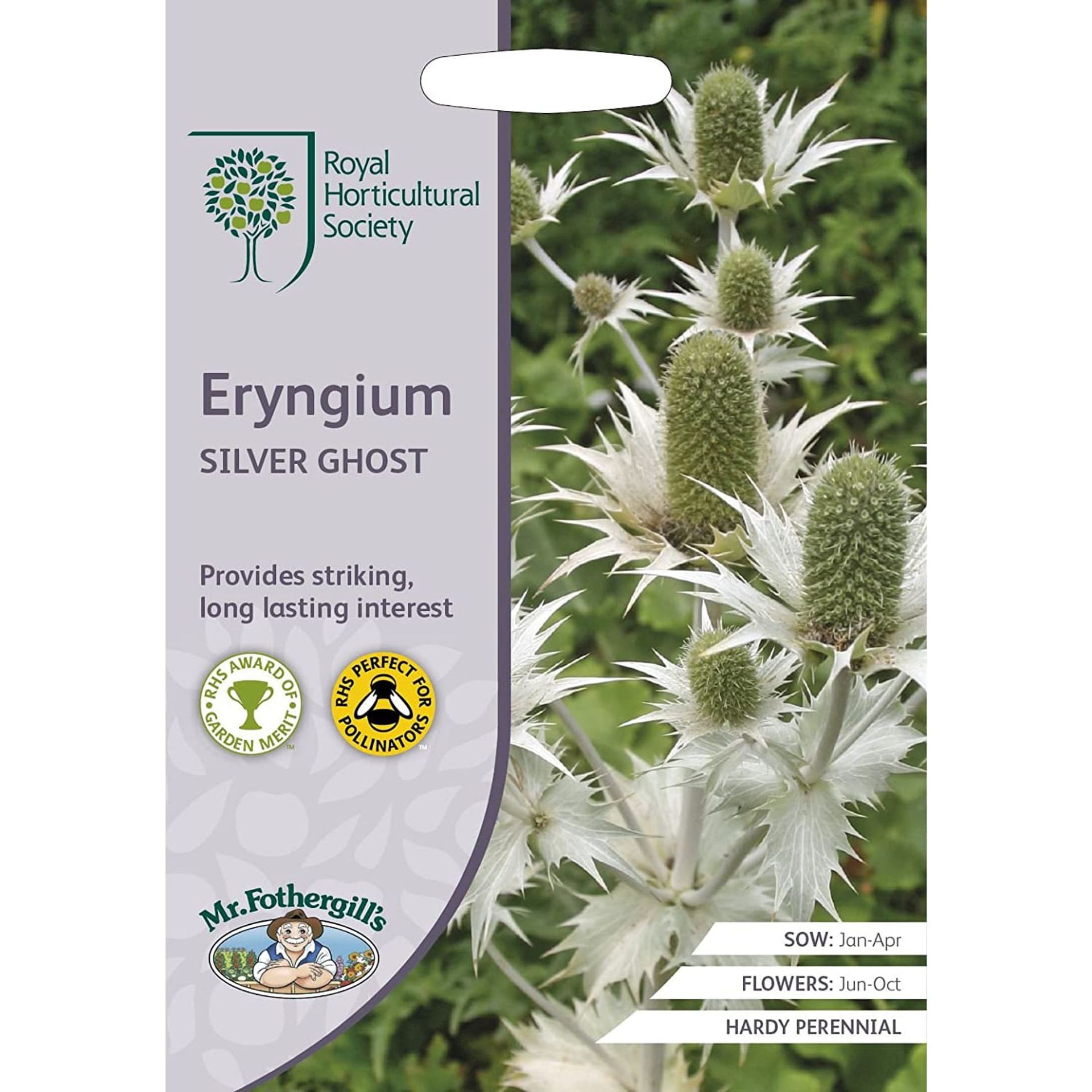 Mr Fothergill's RHS Eryngium 'Silver Ghost' Seeds