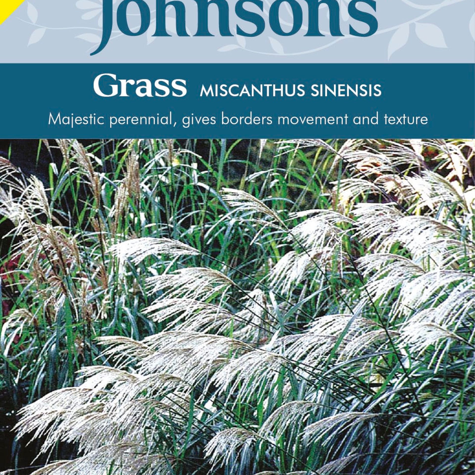 Johnsons Miscanthus sinensis Grass Seeds