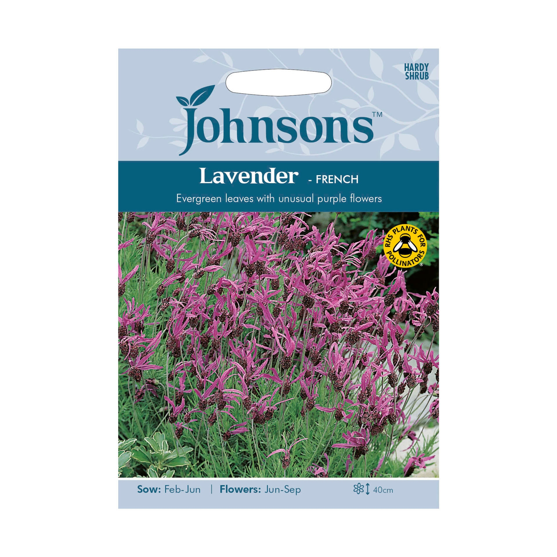 Johnsons French Lavender Seeds