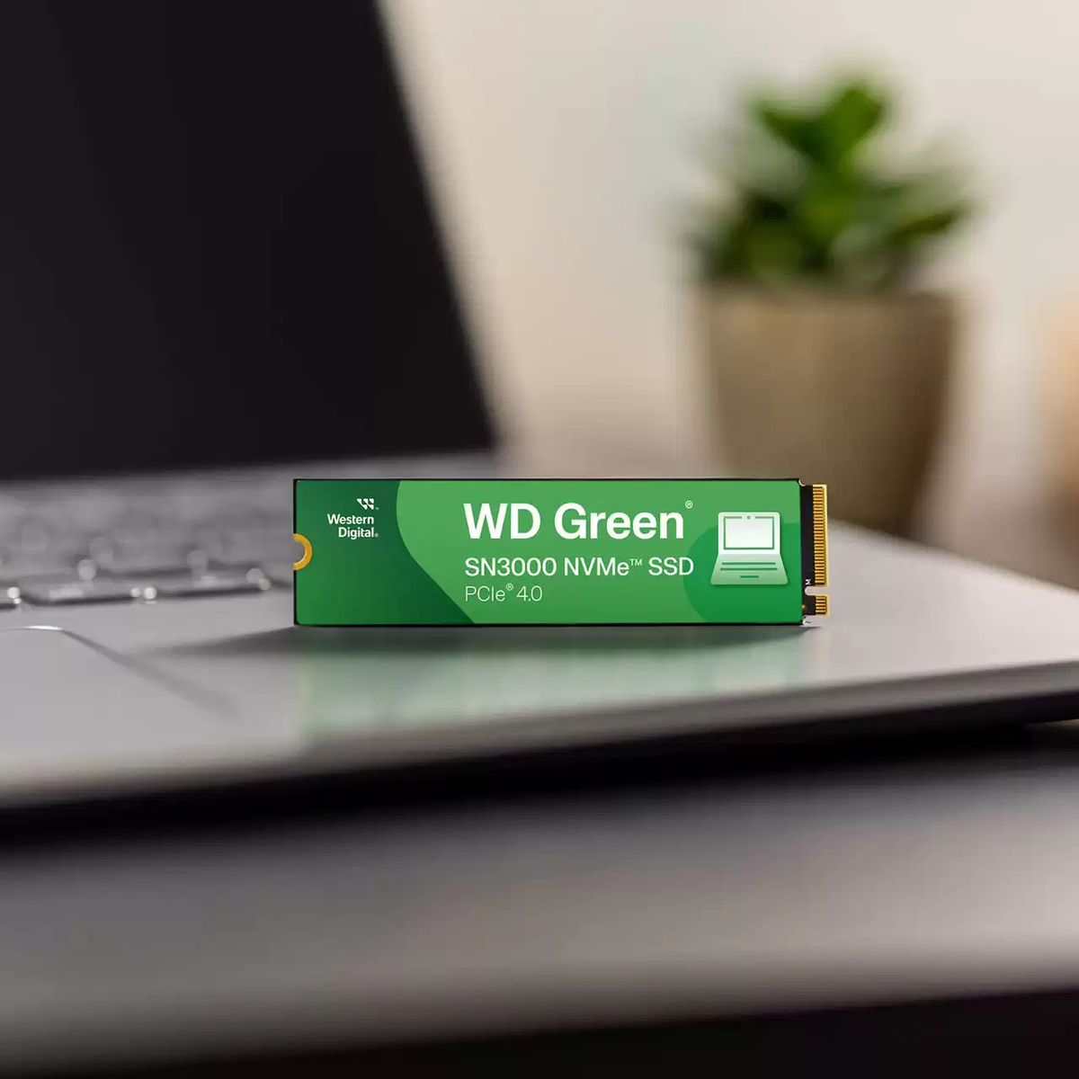 WD Green SN3000 2TB NVMe SSD