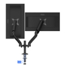 Dual monitor arm upto 34 USB & USB C