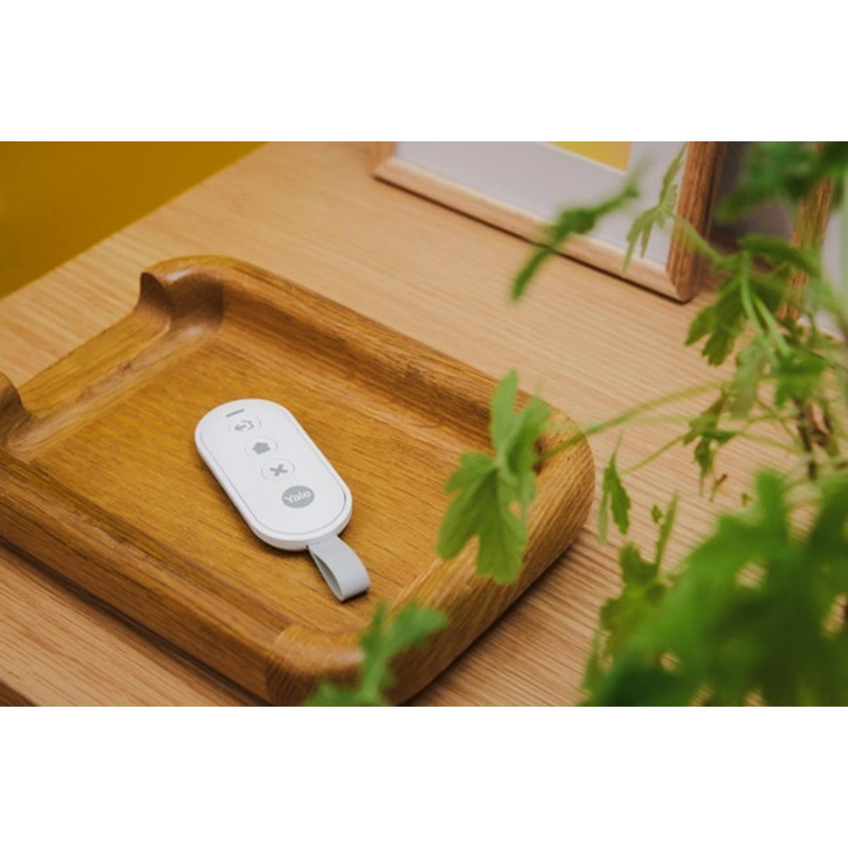 Keyfob