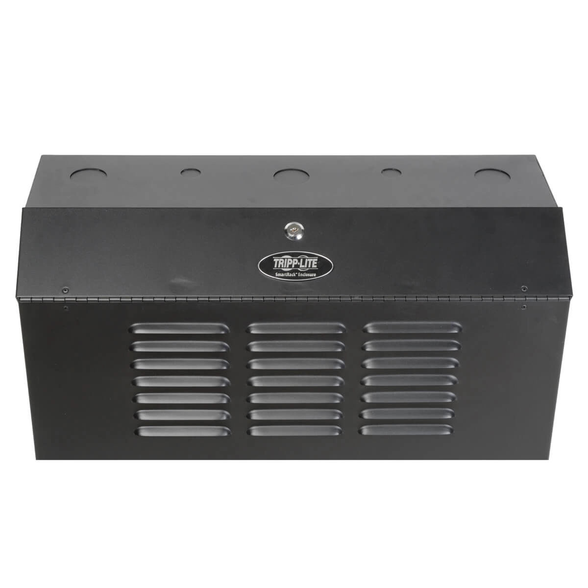 4U WM Low Profile Secure Rack Vertical