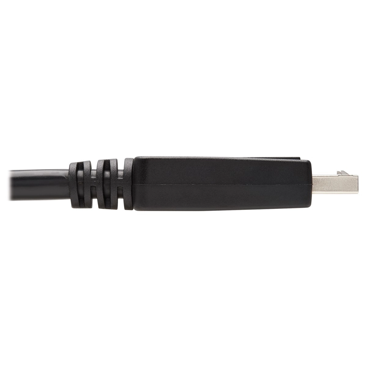 DisplayPort M-DVI-D Single-Link M 10ft