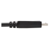 DisplayPort M-DVI-D Single-Link M 10ft