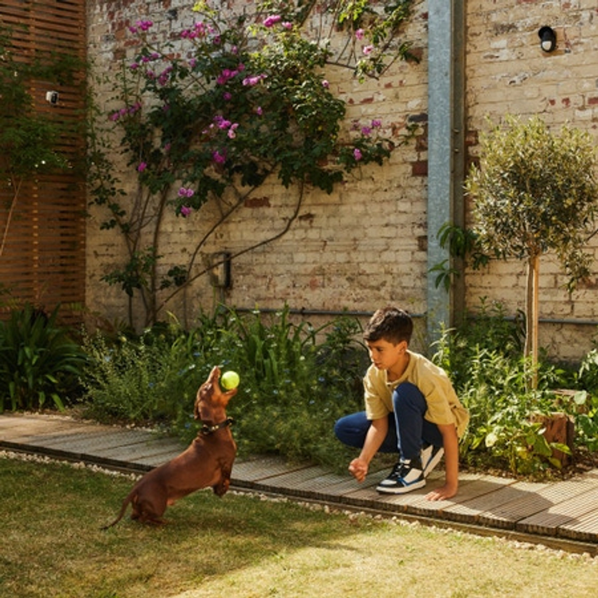 Outdoor Motion Sensor