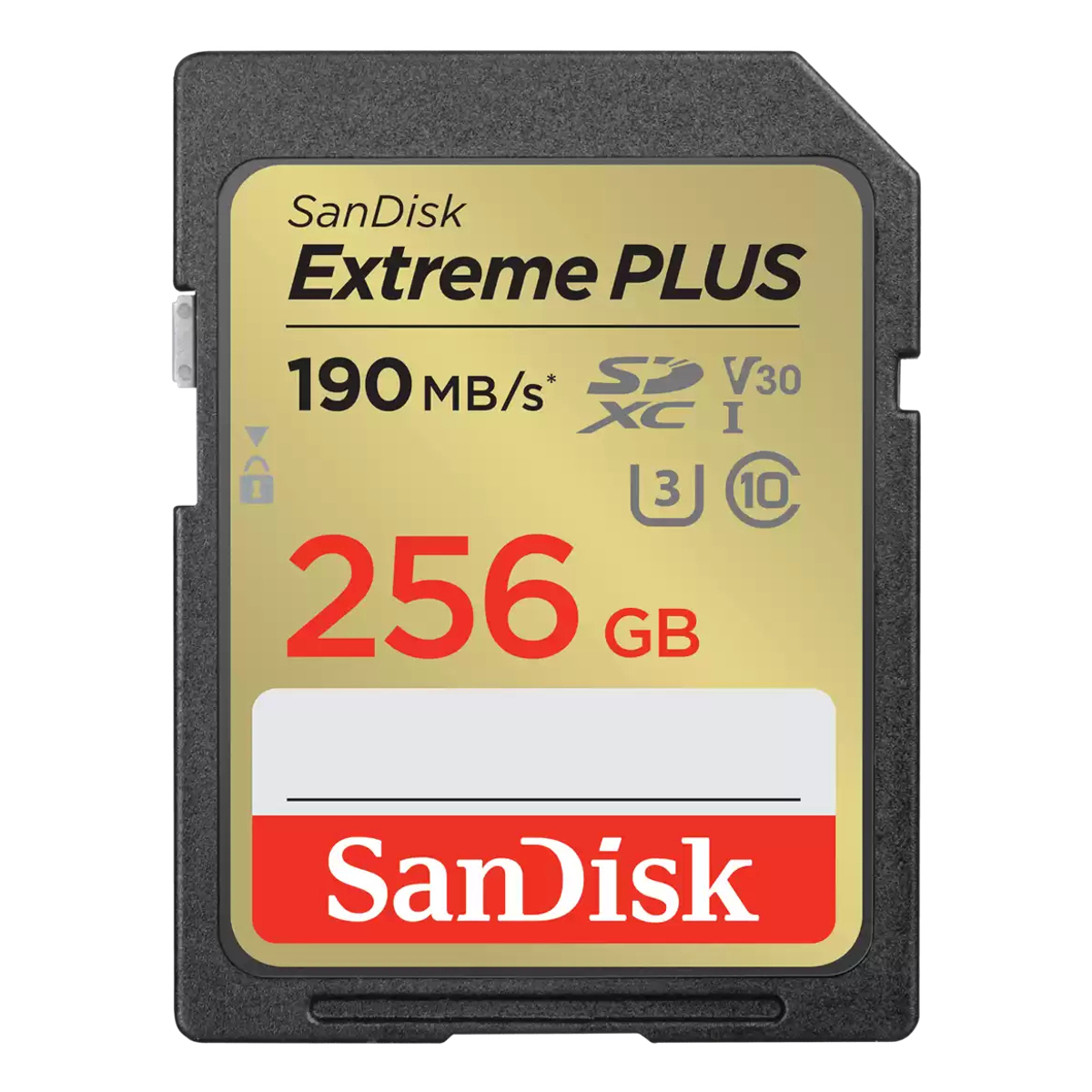 FC Extreme PLUS 256GB SD 190MB CL10