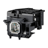 OEM lamp NP43LP