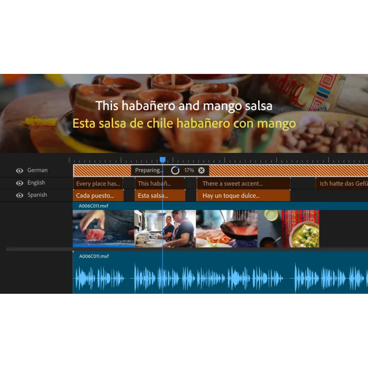 Premiere Pro - UK- MP - ESD