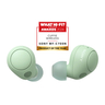 Noise Cancelling Headphones Green