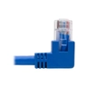 Cat6 Patch Cable Rt-Angle MM Blue 0.31m