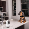 EUK-Swann EVO2K Indr Pan Tilt Wi-Fi Cam