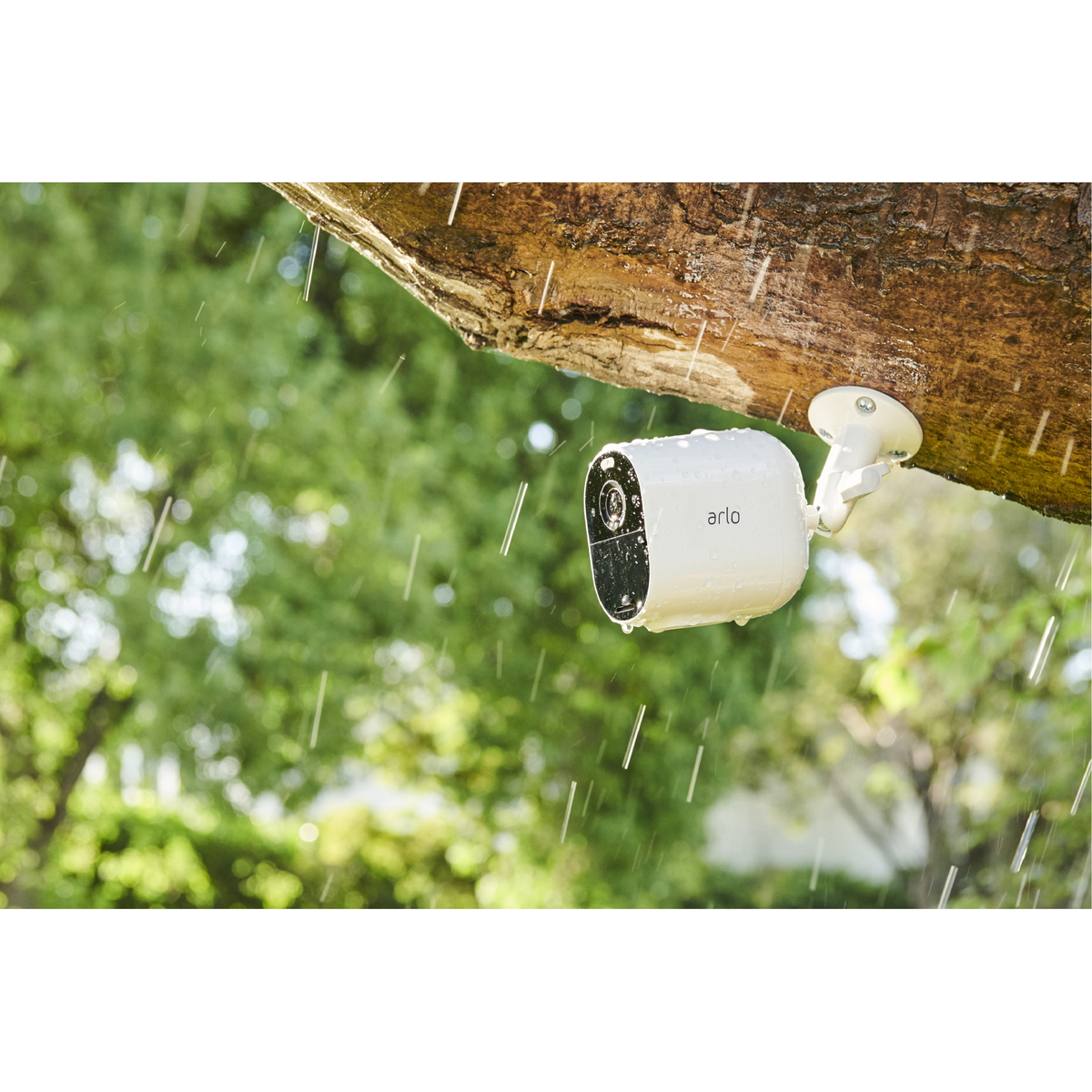 Essential Spotlight Camera 3-Pack