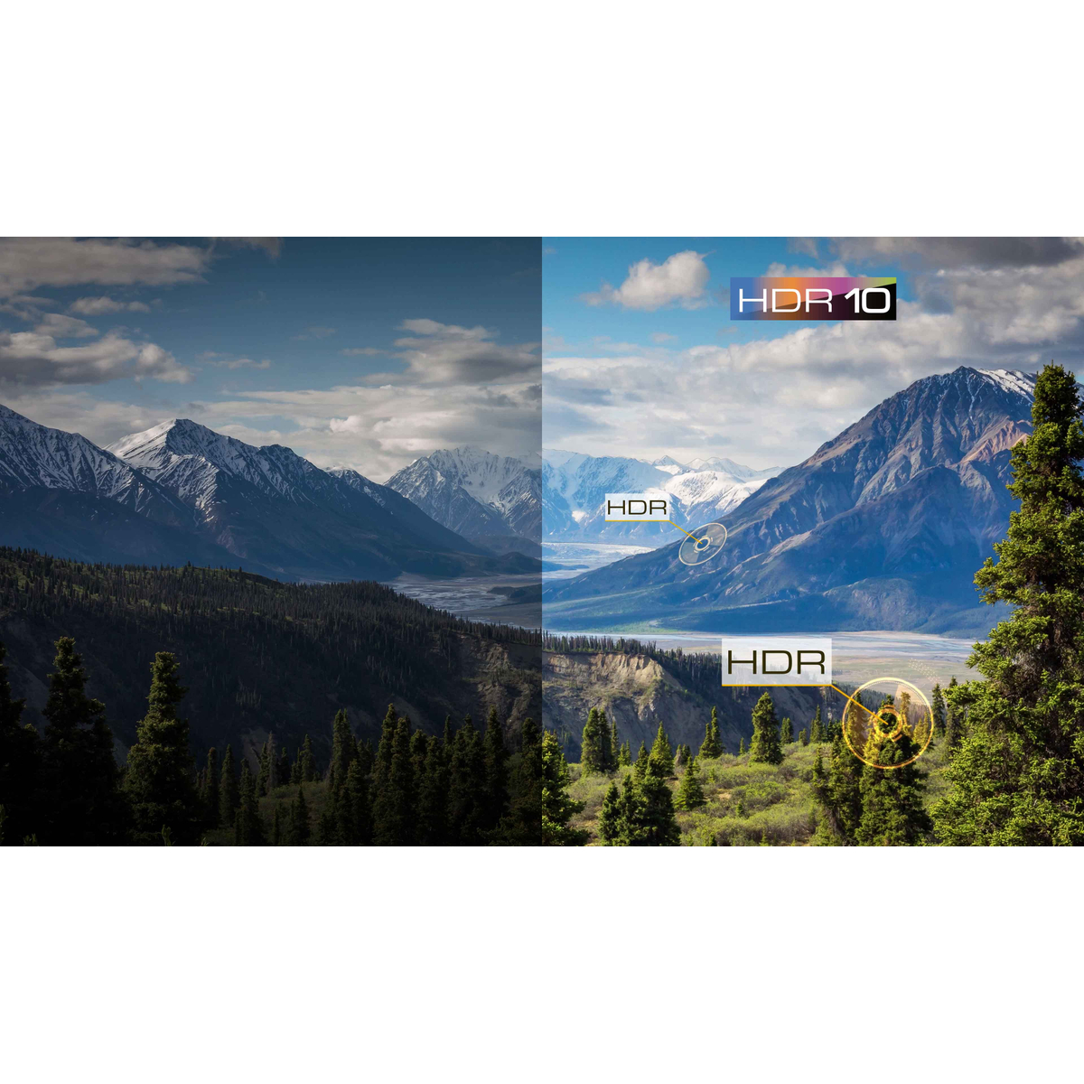 TCL 40RS550K HDR TV