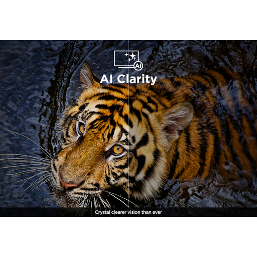 115X955K 115 Premium QD-Mini LED 4K