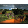 115X955K 115 Premium QD-Mini LED 4K