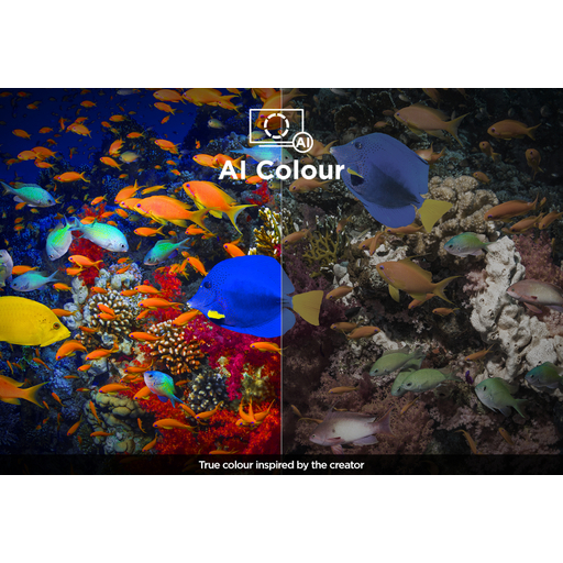 115X955K 115 Premium QD-Mini LED 4K