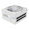 PSU 1000W GP-AE1000PM PG5 ICE 80+P