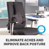 Pro Series Ultimate Back Support