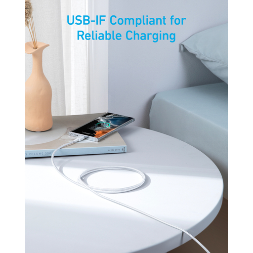 322 USB-C USB-C Cable 6ft Braided White