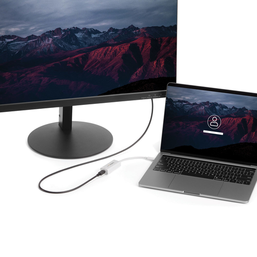 USB-C to Mini DisplayPort Adapter - 4K60
