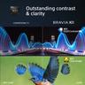 55 A80L Bravia 4K UHD OLED Smart TV