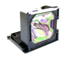 OEM Dual lamp 113-714
