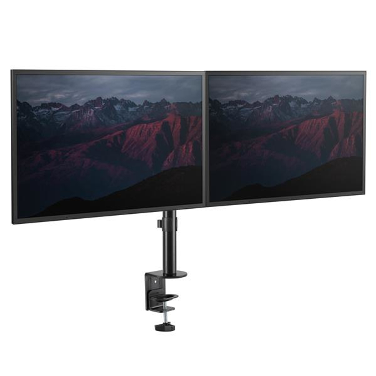 Monitor Arm - Dual Display - Dual Swivel