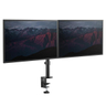 Monitor Arm - Dual Display - Dual Swivel