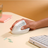 Lift-Mac Ergo Mouse-White/Grey