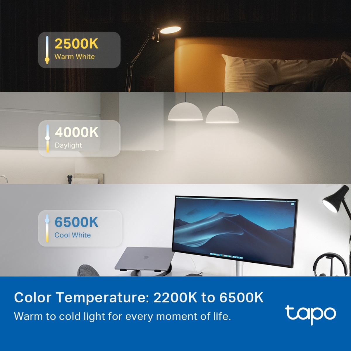 Tapo Smart Wi-Fi Light Bulb Multicolor