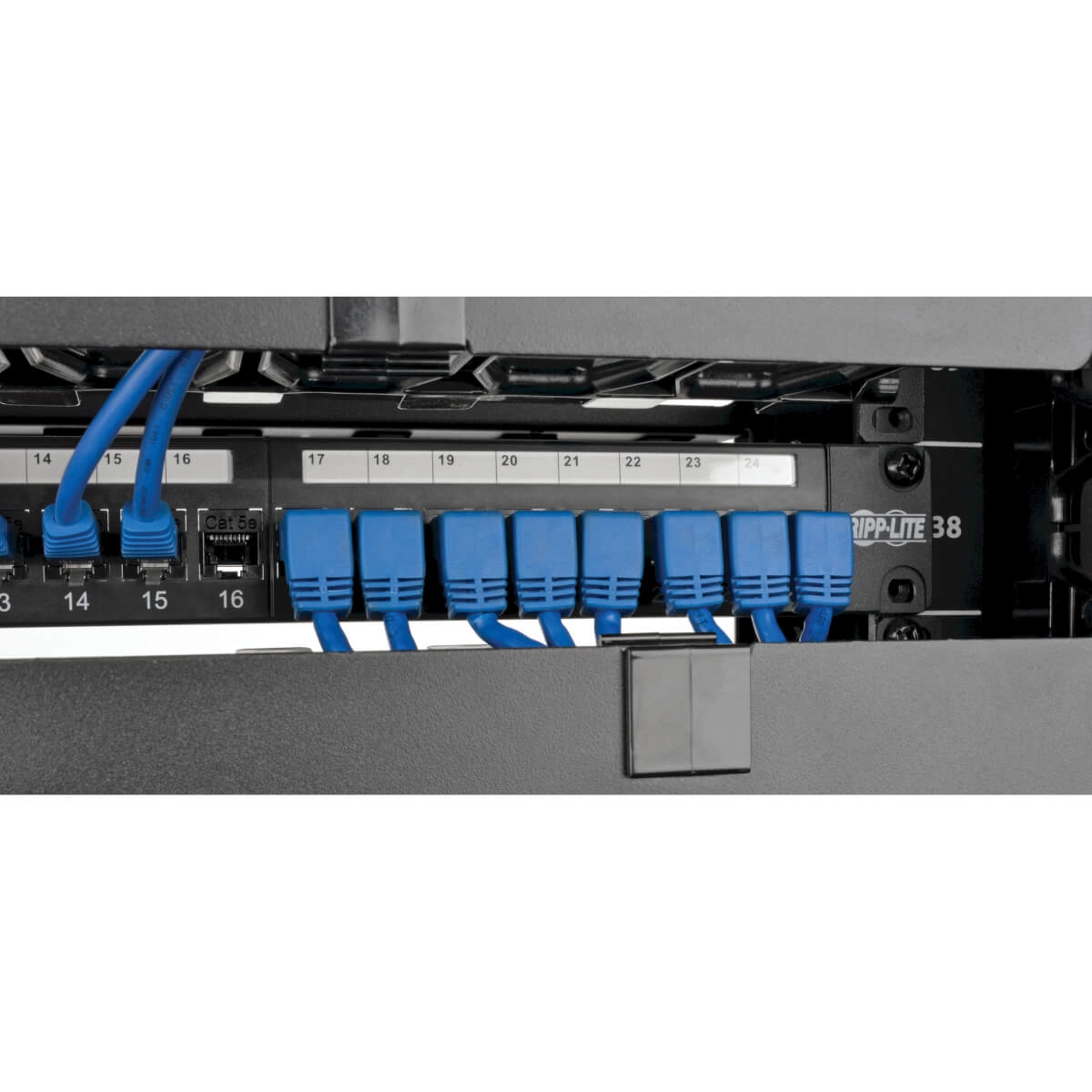 Cat6 Gigabit Right Angle Down to Straigh