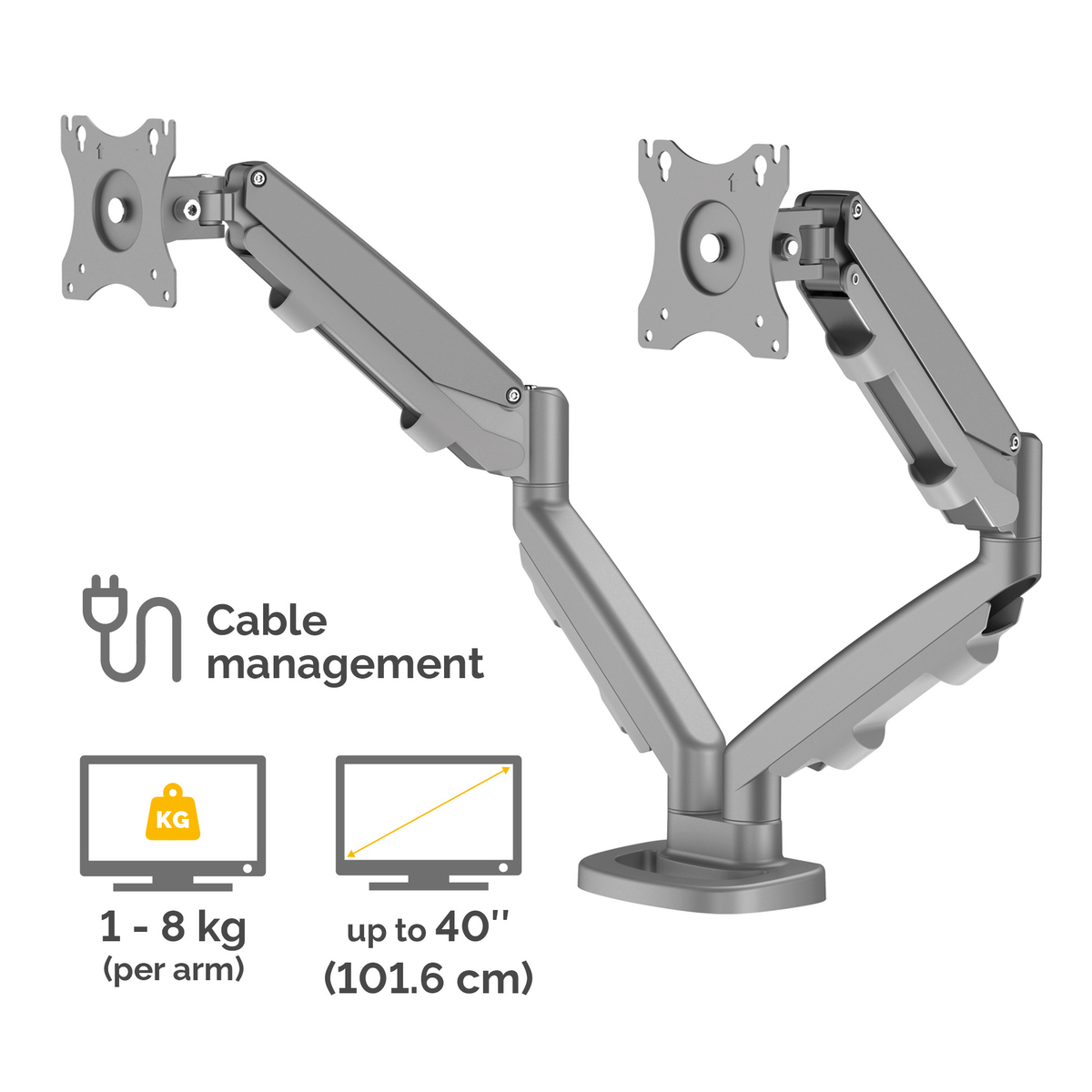 Eppa Dual Monitor Arm - Silver