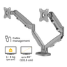 Eppa Dual Monitor Arm - Silver