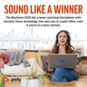 Poly BW 8225 Stereo USB-C HS +USB-C/A