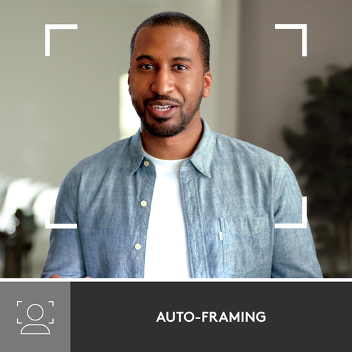 Logitech Brio 500 - Graphite