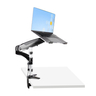 Desk Mount Laptop Arm or Monitor Mount