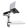 Desk Mount Laptop Arm or Monitor Mount