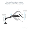 Desk Mount Laptop Arm or Monitor Mount