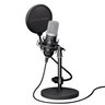 GXT 252 Emita Streaming Microphone