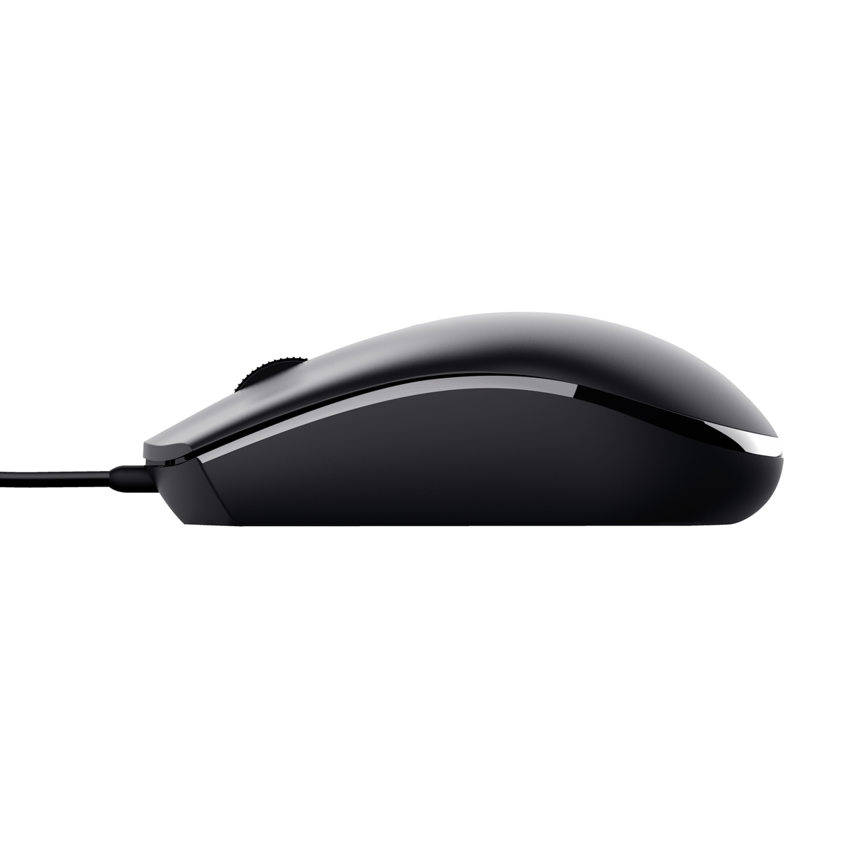 TM-101 Mouse