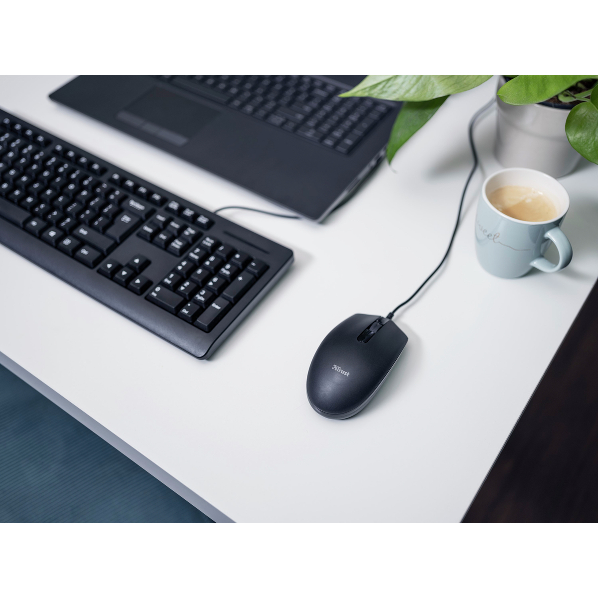 TM-101 Mouse