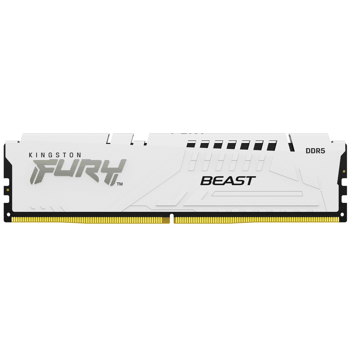 D5 D 6400 32GB Mod Fury Beast White