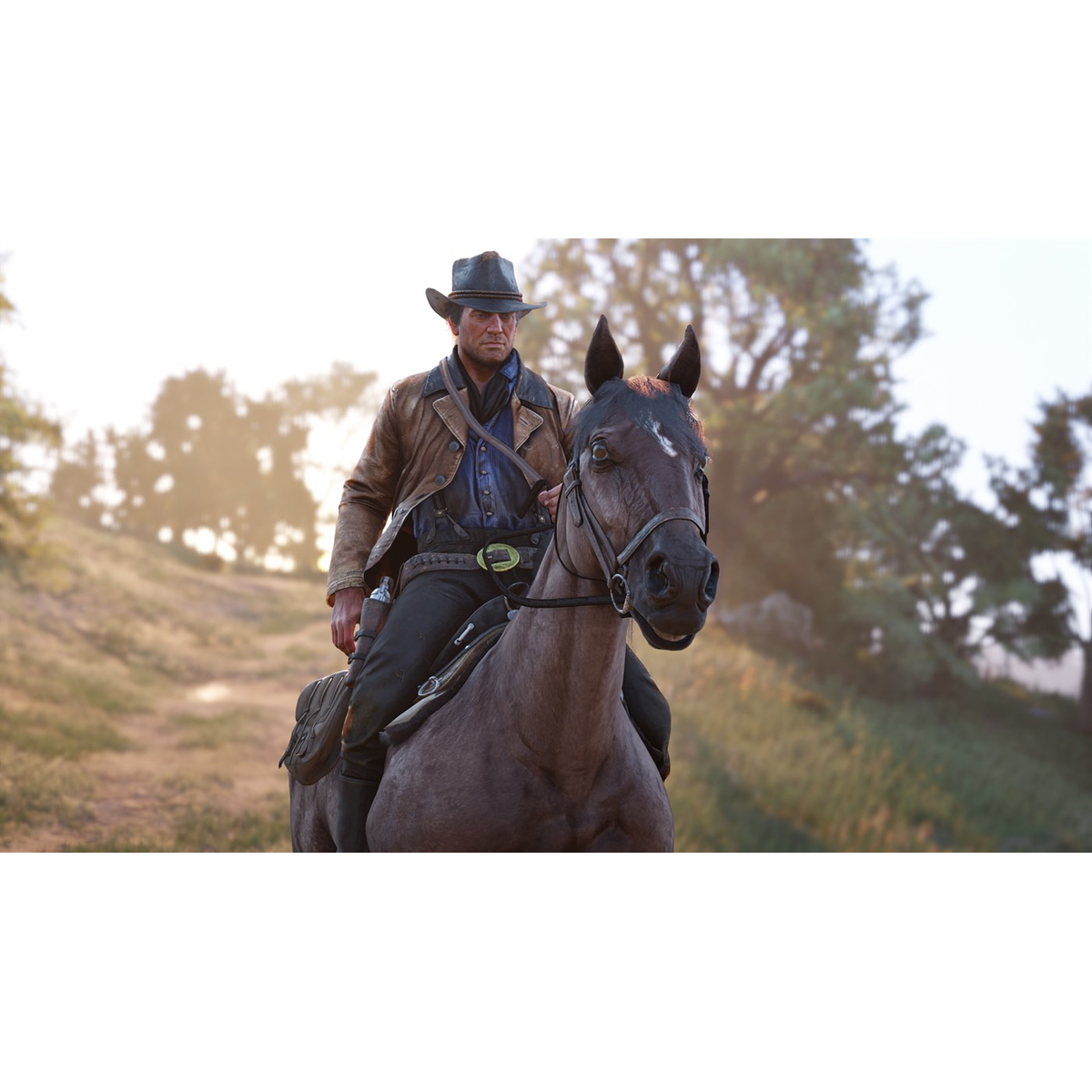 Red Dead Redemption 2 Xb1