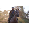 Red Dead Redemption 2 Xb1