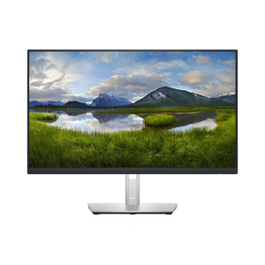 Dell, 24 Monitor - P2422H - 60.5cm (23.8)