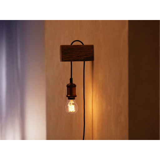 HUE ZB-Filament-W xW Fil A60 B22 EUR