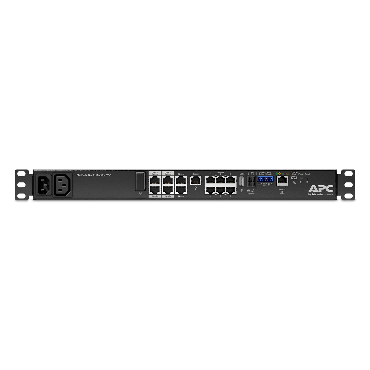 NetBotz Rack 250A
